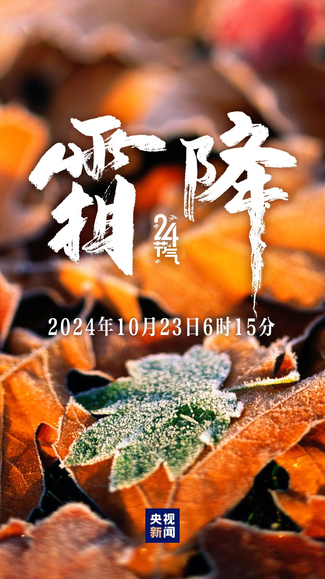 秋季最后一個節氣，來了